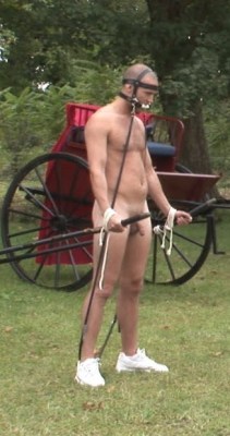 faggland:  When he agreed to be a slave,