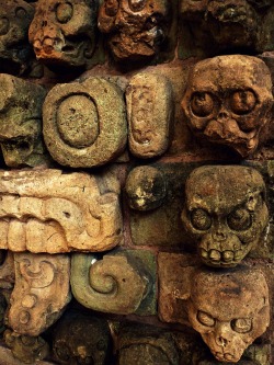 ancientart:  Ancient Mayan skull carvings from Copan. Courtesy &amp; currently located at the Museo Regional de Arqueología Maya, Honduras. Photo taken by Recovering Vagabond 