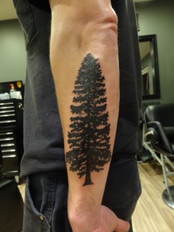 fuckyeahtattoos:  This is the silhouette of a cedar tree I did
