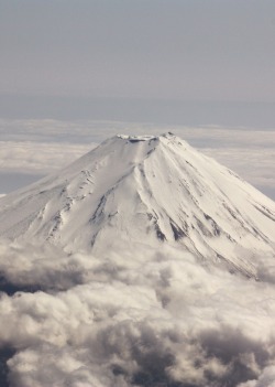 Feli-Cite:  Mount Fuji 