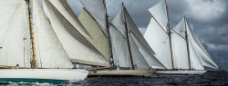 Lots of classic sail