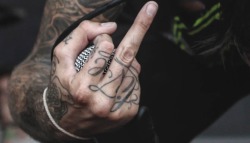 handslike-mice:  rainbeau-bokan:  ah yes, everyone needs austin’s middle finger on their blog  his knuckle tattoos though  