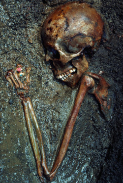A skeleton unearthed at Herculaneum (destroyed when Mount Vesuvius erupted in 79 A.D.) still has bejewelled gold rings on its fingers