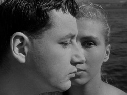 La Pointe Courte (Dir. Agnès Varda - 1955)Persona (Dir. Ingmar Bergman - 1966)Love