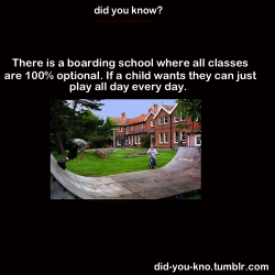 bluhbluhhugedork:  wristsareforbracelets:  fight-the-world:  diagondaley:    SUMMERHILL SCHOOL!!! ENGLAND!!!!   My teacher told me about this in high school. As humans we have a natural thirst for knowledge. While naturally kids did their own thing for