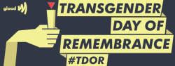 spawnofbowie:  knowhomo:  LGBTQ* Awareness Events Reminder Transgender Day of Remembrance (Following from GLAAD) Transgender Day of Remembrance #TDOR - November 20 Transgender Day of Remembrance (TDOR) is an annual observance on November 20 that honors