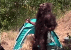 out-there-porn:  .  fun with Sasquatch 