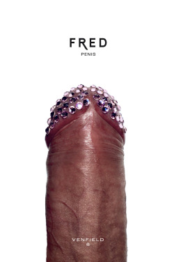 venfield8:  Designer Dicks, FRED, 2012 