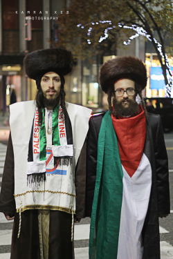 xeb695:  Rabbi’s Against Zionism, these