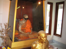 the-mistaken-tourist:  helenofdestroy:  The mummified body of Buddhist monk Phra Khru Samathakittikhun (or Loung Por Daeng) remains on display in Thailand in Wat Kunaram on Koh Samui island per his request, some thirty years after his death. He hoped