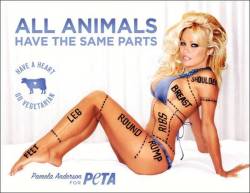 juicyjacqulyn:  notevenknowledgewasfoolproof:  recoveringhipster:  Objectification and body shaming in PETA ads (an introduction). If you’re interested at all in becoming an animal rights  advocate, my advice is to just look at whatever PETA does and