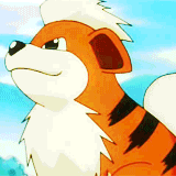 ap-pokemon:  #058 Growlithe - Extremely loyal in nature, Growlithe will fiercely