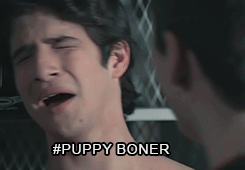 saucefactory:  e-n-d-o:  i don’t even know  THE BONERS OF TEEN WOLF, LADIES AND GENTLEMEN 