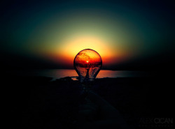 Not Another Bulb Pic | Flickr: Intercambio de fotos @weheartit.com http://whrt.it/TOOrVo