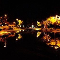 the-rain-never-ceases:  The lake we happened on in the middle of the parking lot last night