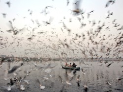 oceane-water:  fotojournalismus:  Men feed birds in the Yamuna river in New Delhi on November 23, 2012. (Tsering Topgyal/AP)  This makes me so happy 