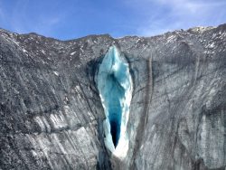 braveandwildestdreams:  anjanana:  everything in nature looks like a vagina, and everything man made looks like a penis. you compensating, you compensating hard  I scrolled back up because I needed this on my blog   Feminazi Detected.Deploying Counter