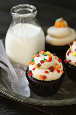 gastrogirl:  pumpkin mocha cupcakes. 