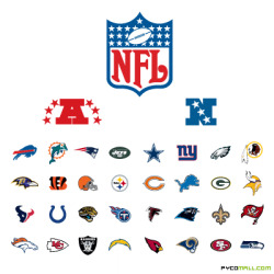The regular season of the NFL is almost over, with only a few weeks left. How are your teams doing?