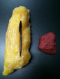 1 Pound of Fat 1 pound of Muscle