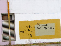 Eat pussy, not animals.