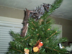violetlamp:  illith-anthonar:  Mom fuck you and your gay crusty angel you’ve been topping the tree with for like 20+ years. This Christmas we do shit MY way, and that means Alduin sits on top of the fucking tree!  FUS RO HO HO HO 