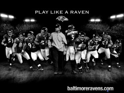 baltmore-ravens:  Baltimore Ravens. 