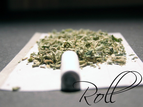 Roll porn pictures