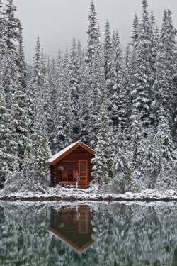 beethovensteaparty:  Cabin in the woods at