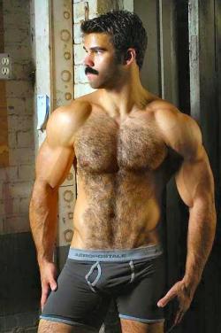 http://sambrcln.tumblr.com/archive Hairy men, hairy chest, big bulge, hot men, real men, bear, beard, macho