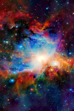 weareallstarstuff:  Orion Nebula