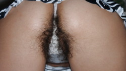 levante-su-bandera:  hairywomenrock:  Hairy Hairy!!! :)Â   What a beautiful mess of pubes. (from him)  Fucking arousing! Look at that hairy ass!!!