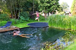  Just a pool, disguised as a pond, with a trampoline instead of a diving board. I wrote a paper about these kinds of pools several years ago for a class when they were just prototypes. These pools have a natural filtration system that run based on the