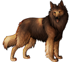 kiraraneko:  Belgian Tervuren and Belgian Shepherd! :) I wish the images didn’t look so blurry when sized down like this, I can’t seem to figure out a good way of displaying graphics in these posts. Both drawn for simdog.net, do not use.