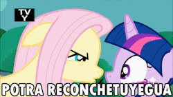 supervichuloyweas:  chicamedusa:  renegades-of-equestria:  grandtheftchocobo:  renegades-of-equestria:   gabrony:   la wea bizarra   Fluttershy culiá xd   What the fuck language is this I can’t even tell goddamn  Dats spanish, my dear friend, Chilean