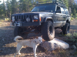 My two favorite things!   Pooch an my jeep!