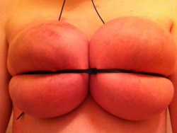 clipsnpins:   Is this whoreâ€™s tit meat tenderized and tightly packaged enough?   Yes, this whore is doing marvelously for our needs. Good slut. Keep at it.