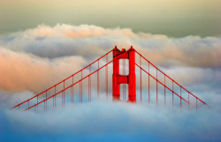 beethovensteaparty:  Golden Gate in the Fog