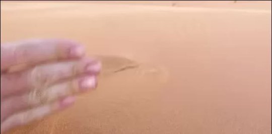 XXX theinturnetexplorer:  Sand in the Sahara photo