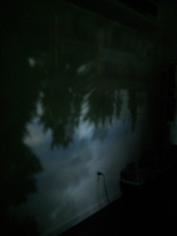 laurencephilomene:  fromsecondstory:  laurencephilomene:  thebackdoor:  Mike showed me a video of how to do a camera obscura picture. my neighbors house is reflected onto my wall right now 8D (creeeeeepy?) oh and ignore the really shit photo i had to